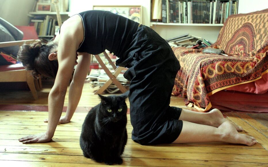 s'étirer comme un chat